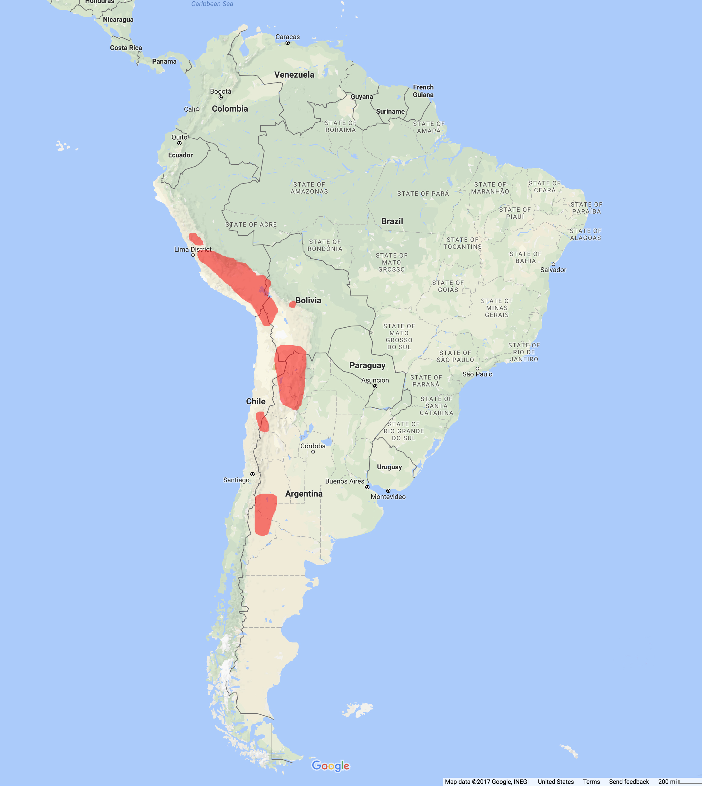 Andean Cat Distribution Range Map