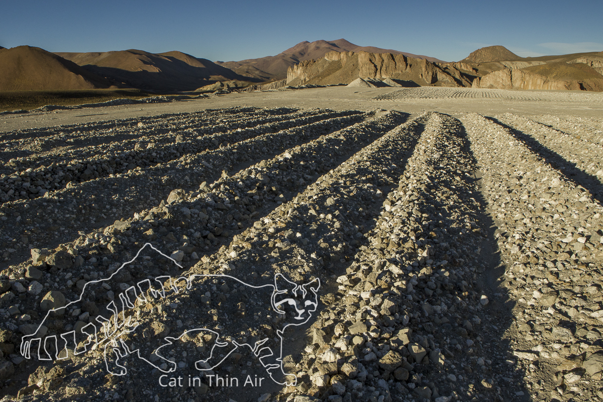 Borax mine, Loma Blanca Mine, Andes, northwestern Argentina